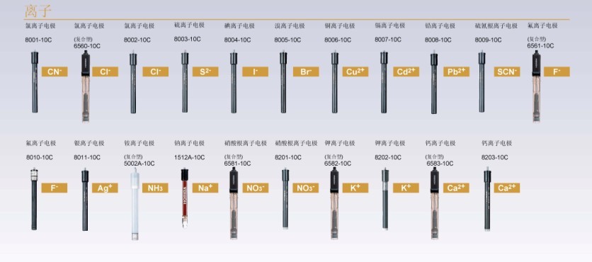 HORIBA ���ӵ缫